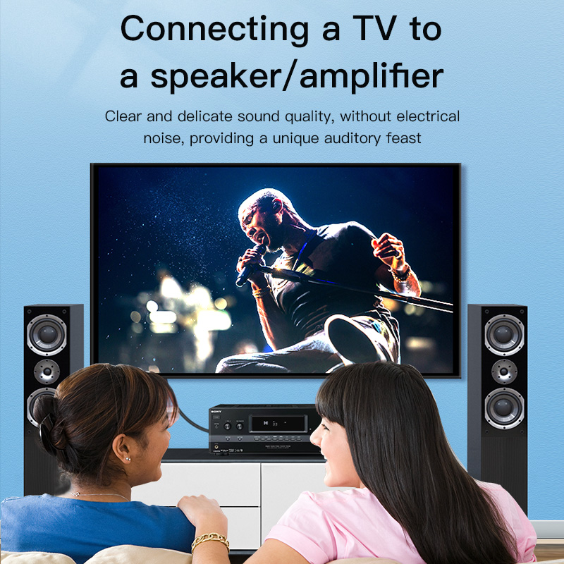 CHOSEAL RCA Cable Digital Coax - Genius Home Cinema review and price